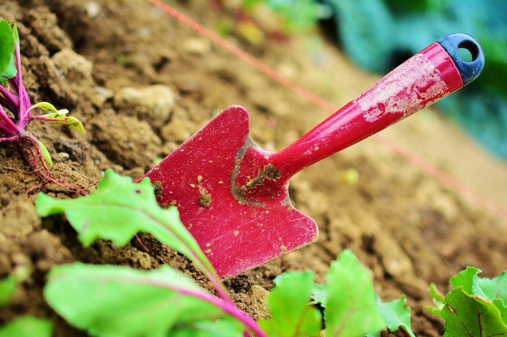 Picking the Right Gardening Tools